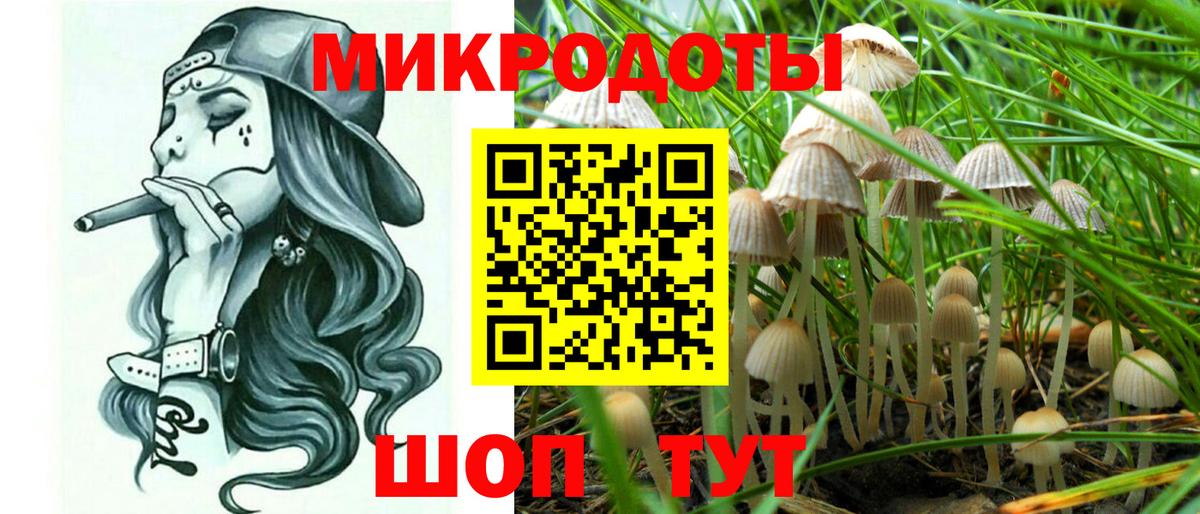 Галлюциногенные грибы ЛСД  Галлюциногенные грибы Magic Shrooms  Заводоуковск  Вход с VPN 