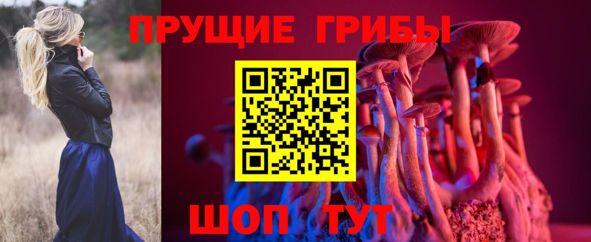 Галлюциногенные грибы мицелий Заводоуковск